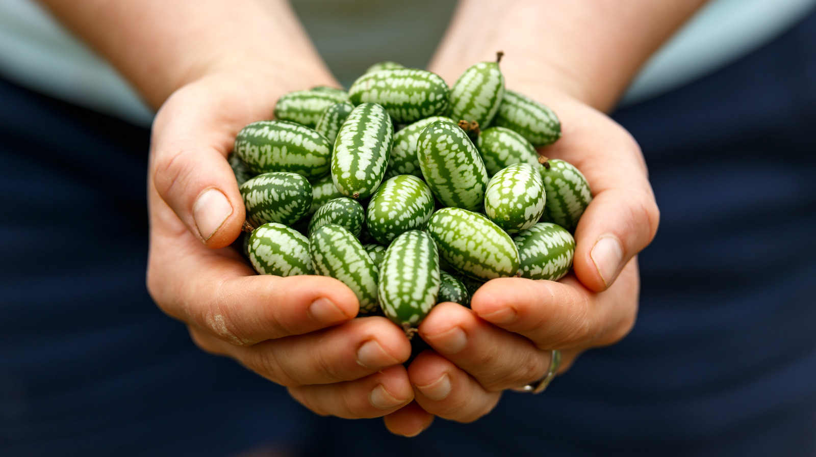 How To Eat Cucamelon, An Adorable Superfood