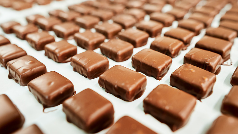 Rows of square dipped chocolates