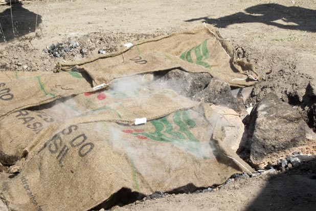 Cover with Banana Leaves and Sacks