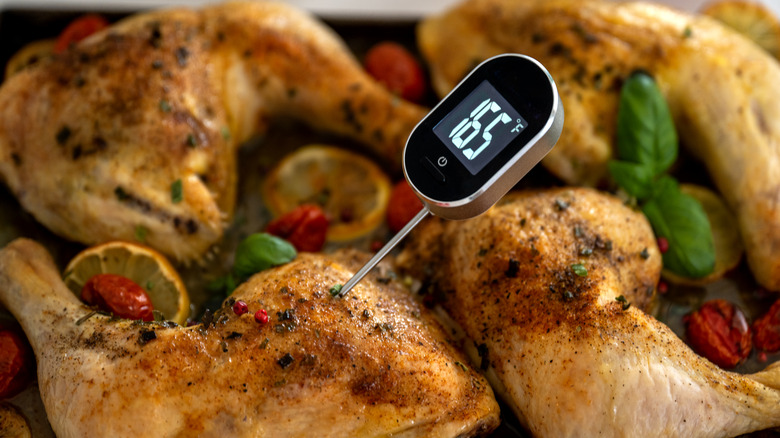 meat thermometer in chicken