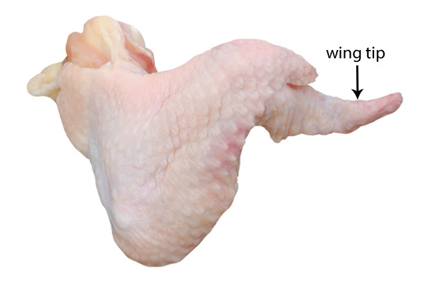 Remove the Wing Tips Because They Will Burn