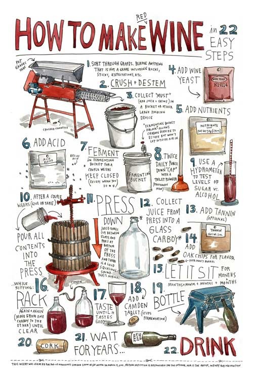 How to Make Wine at Home
