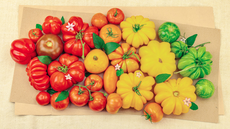 Heirloom tomatoes, arranged by color