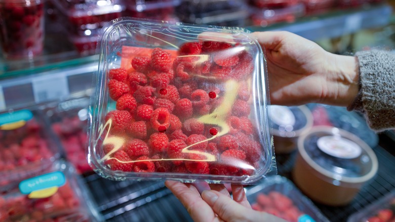 hands holding container of raspberries