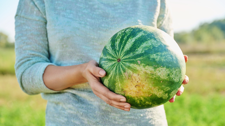 person holding a watermelon