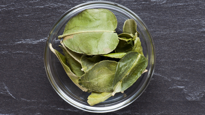 Dried makrut leaves in a glass jar