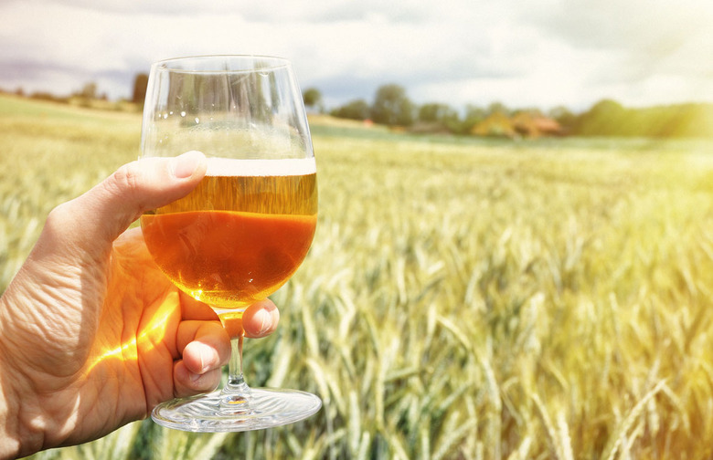 Go Easy on the Alcohol