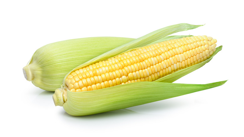 whole raw corn in husk