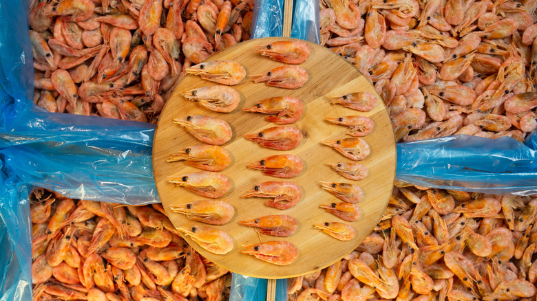 Different sized shrimp in boxes