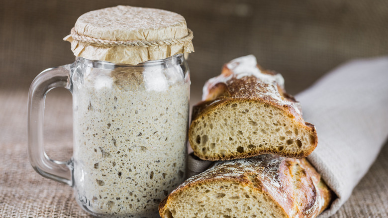 Sourdough starter and bread