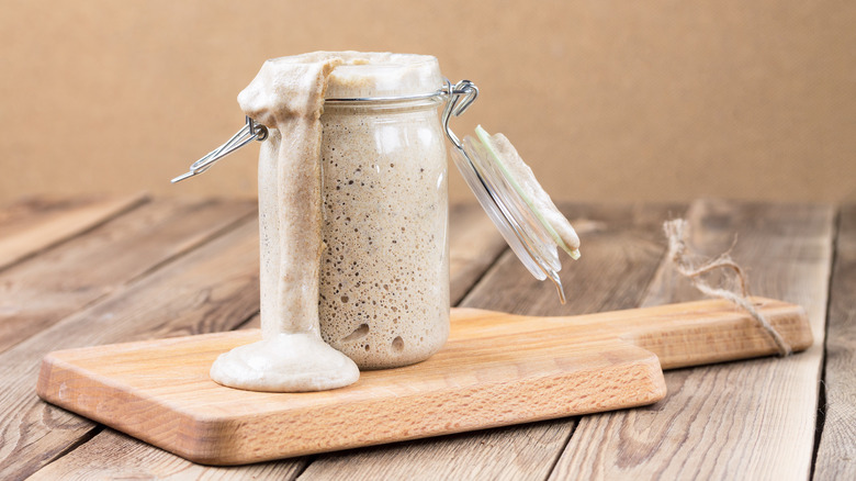 Overflowing sourdough starter