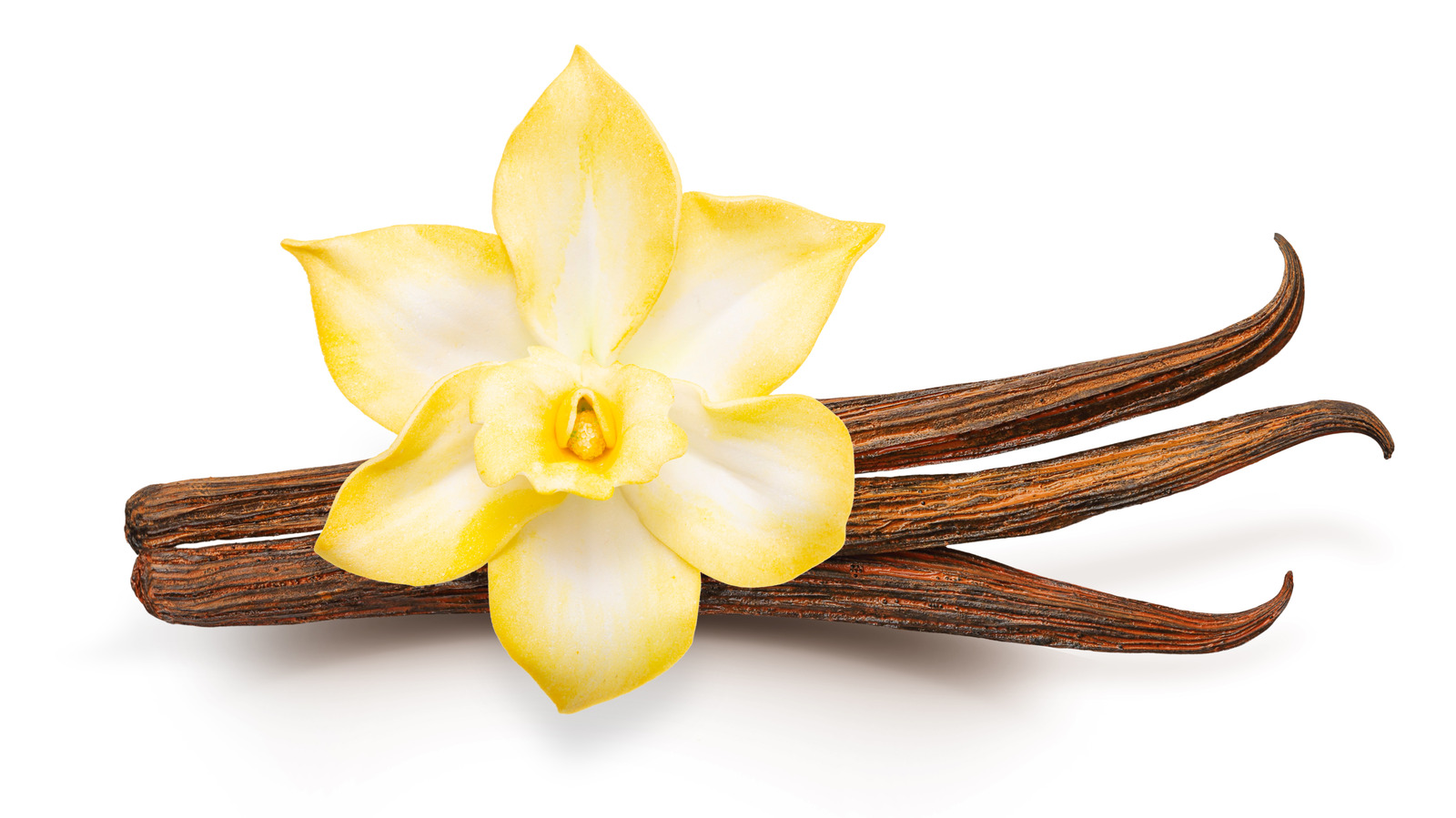 How You Can Save Leftover Vanilla Bean Pods For Endless Uses Later