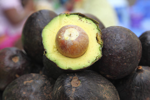 Hydrate and Energize: 10 Foods for Summer Health