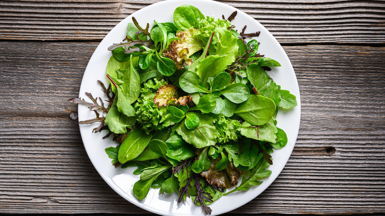 A plate full of assorted leafy greens, including lettuce