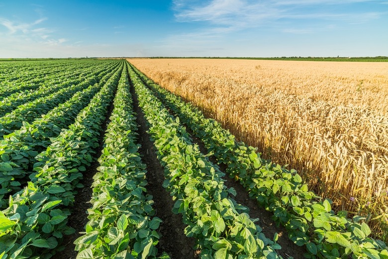 In 2015, Global Farmland Used for GMO Crops Declined for the First Time Ever