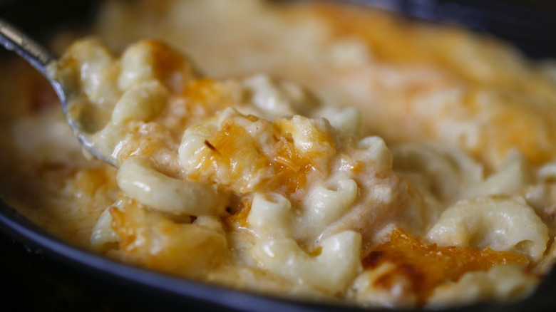Close up of cheesy, gooey mac and cheese