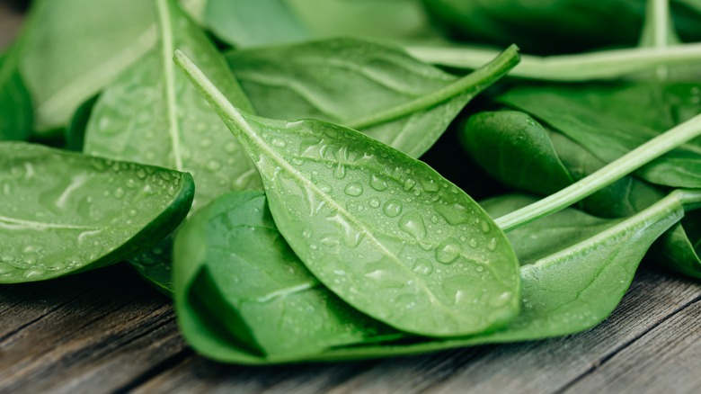 Wet salad greens on a wooden table 