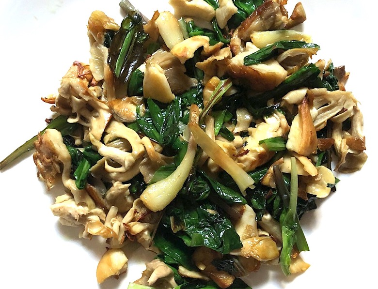 Foraging for wild ramps food