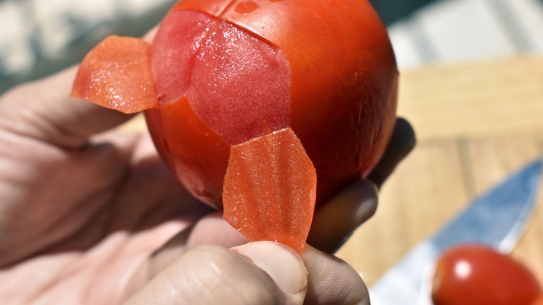 Blanched tomato being peeled