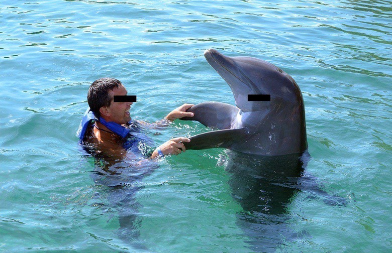 Is It Ethical to Swim With Dolphins?