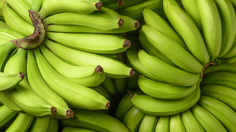 pile of green bananas