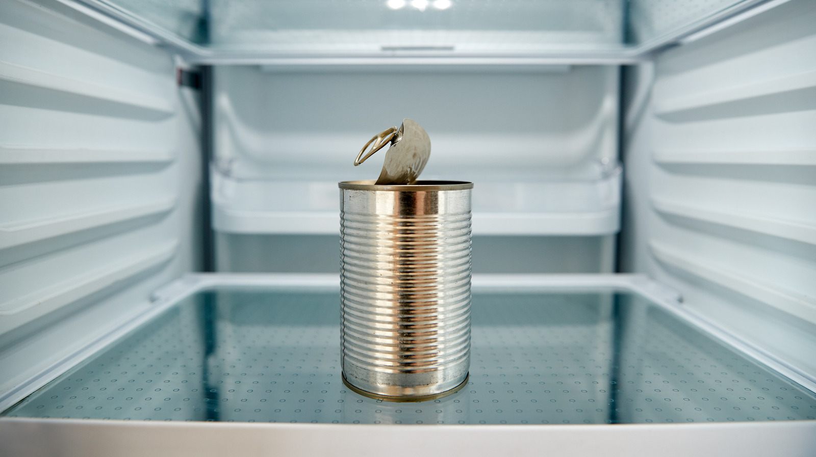 https://www.thedailymeal.com/img/gallery/is-it-safe-to-store-open-canned-food-in-the-refrigerator/l-intro-1695134593.jpg