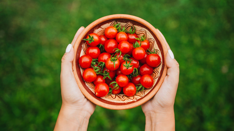 Bowl of fresh cherry tomatoes