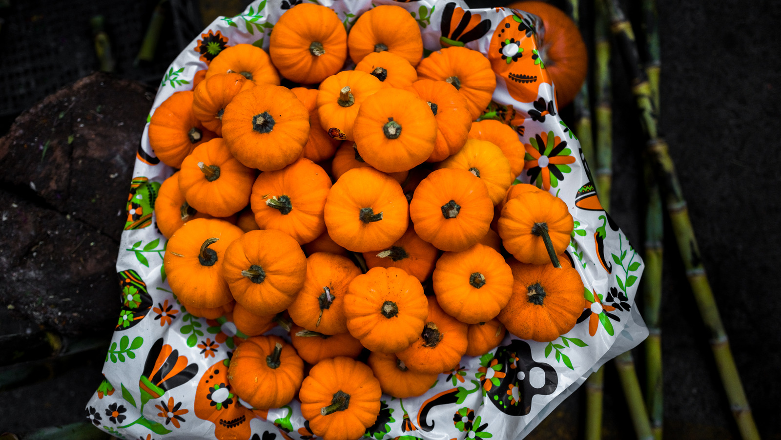 Is There Any Difference Between Carving Pumpkins And Pie Pumpkins 