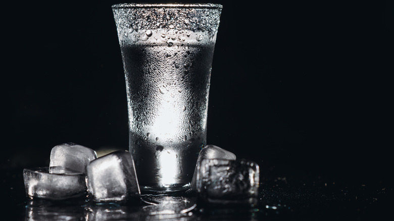 Shot glass of vodka with ice