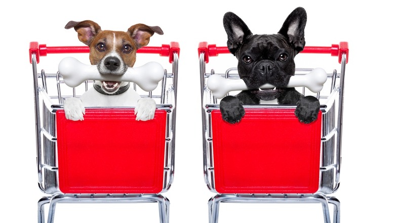Italian Grocery Store Modifies Shopping Carts So Dogs Can Ride Them 