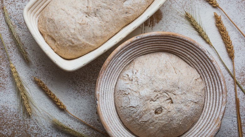 Two bread doughs in baskets