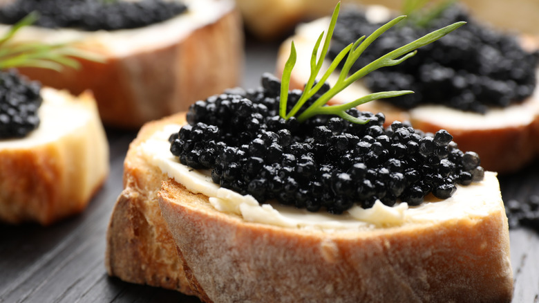 A close-up of bruschetta with caviar, butter, and herbs