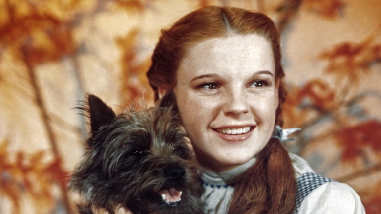 Judy Garland dressed as Dorothy with Toto the dog