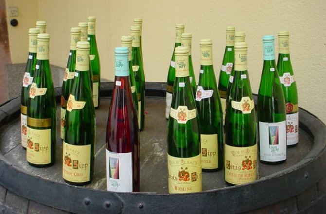 Top Germany Wines