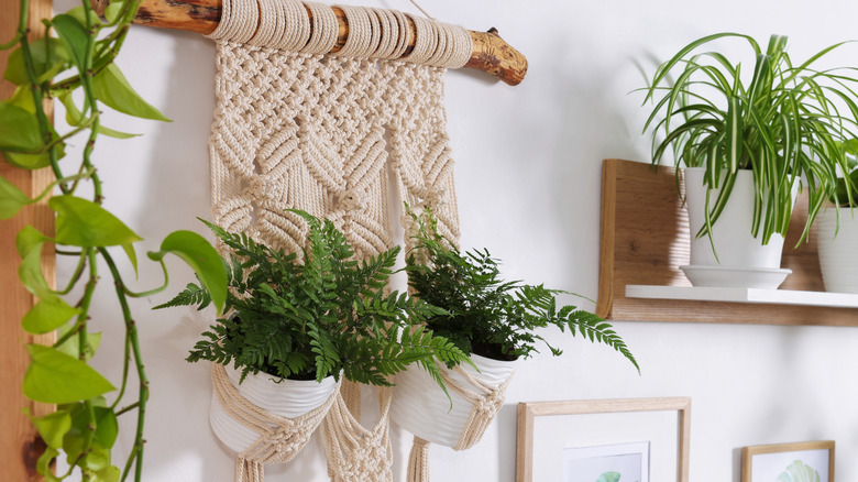 Macrame hanging plant holder