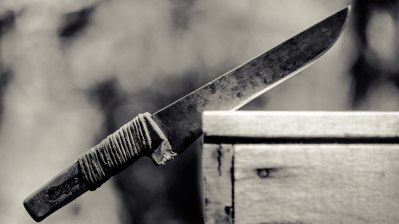 An old wood handle knife