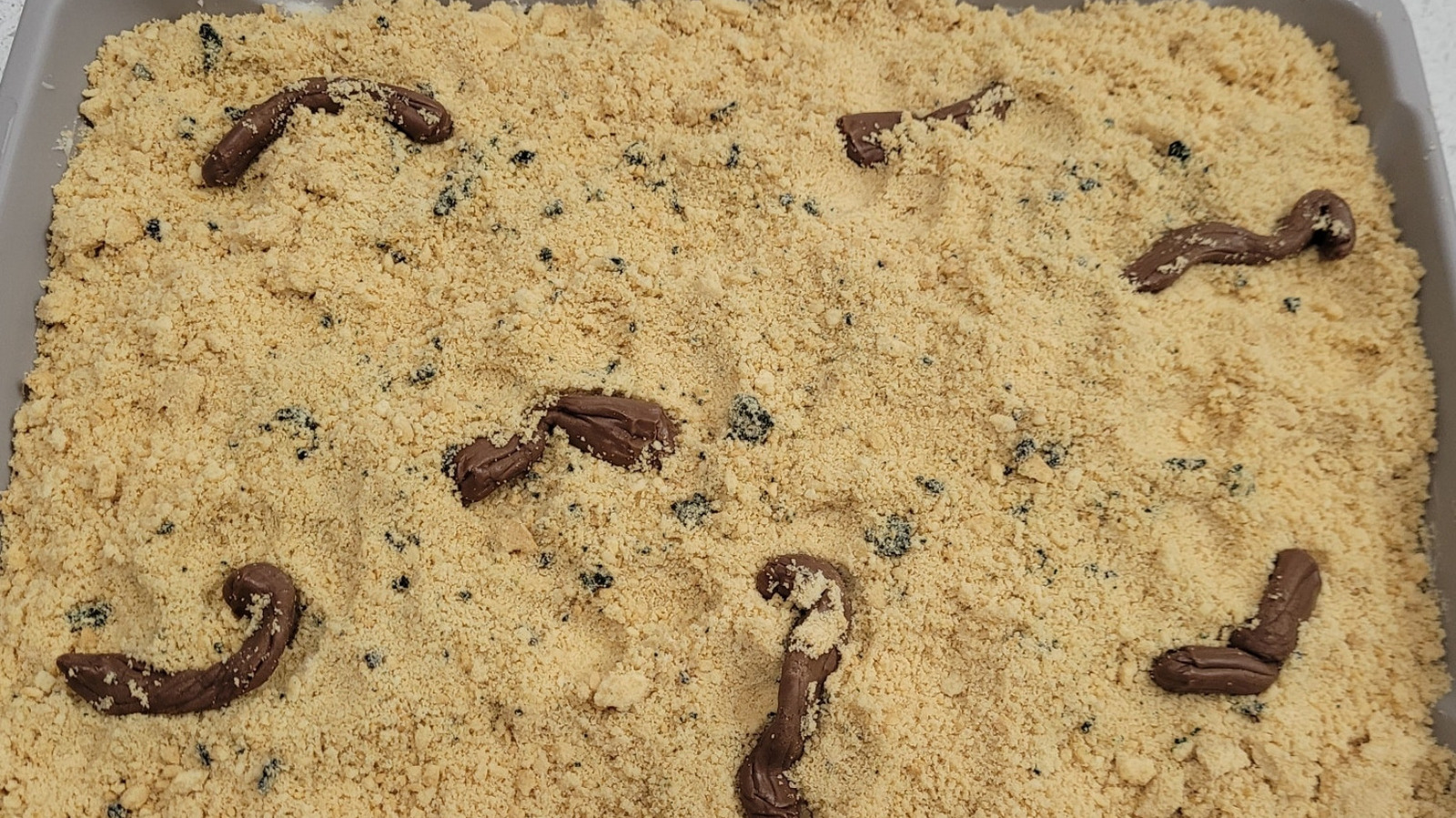 Kitty Litter Cake Is Great For A Halloween Party (If You Can Get Past