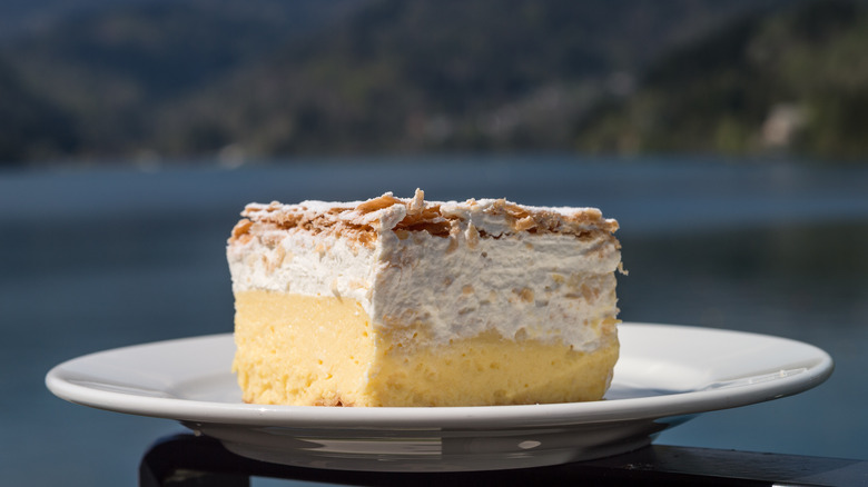 Kremsnita cake on plate with a scenic backdrop