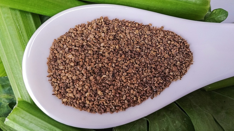 Spoon of celery seeds on fresh celery