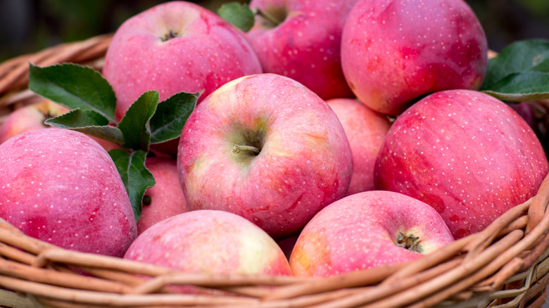Basket with Pink Lady apples