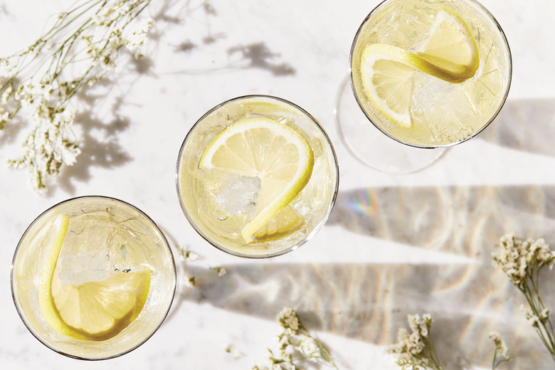 Elderflower Spritz, low-alcohol cocktail recipe, The Daily Meal