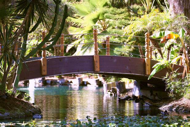 Plush Tropical Landscape of Paradise Island