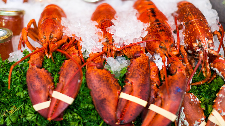 Four lobsters on bed of ice