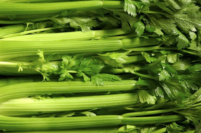 Major Retailers Recall Celery Products Amid Multistate E. Coli Outbreak 