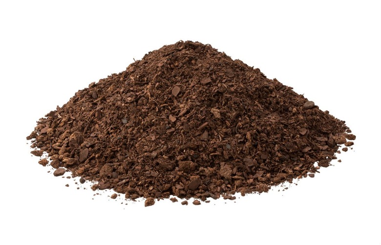 Make Summer Last: Here's How to Grow Summer Vegetables Perfectly Indoors