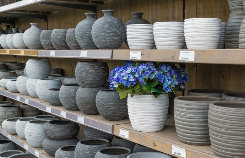 Make Summer Last: Here's How to Grow Summer Vegetables Perfectly Indoors