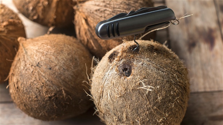Corkscrew in whole coconut 