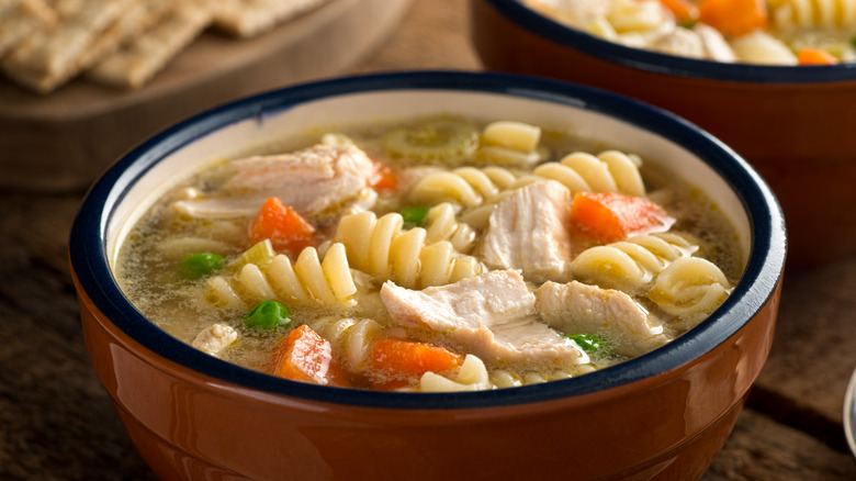 Bowl of chicken noodle soup