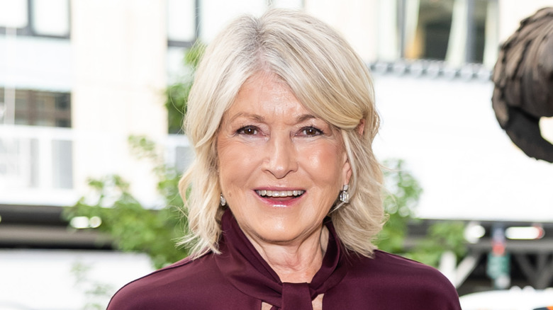 Close up of Martha Stewart smiling