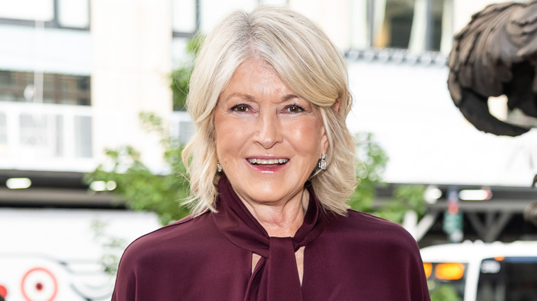 Close up of Martha Stewart